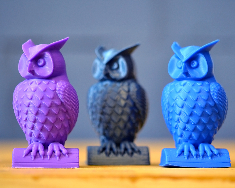 owls