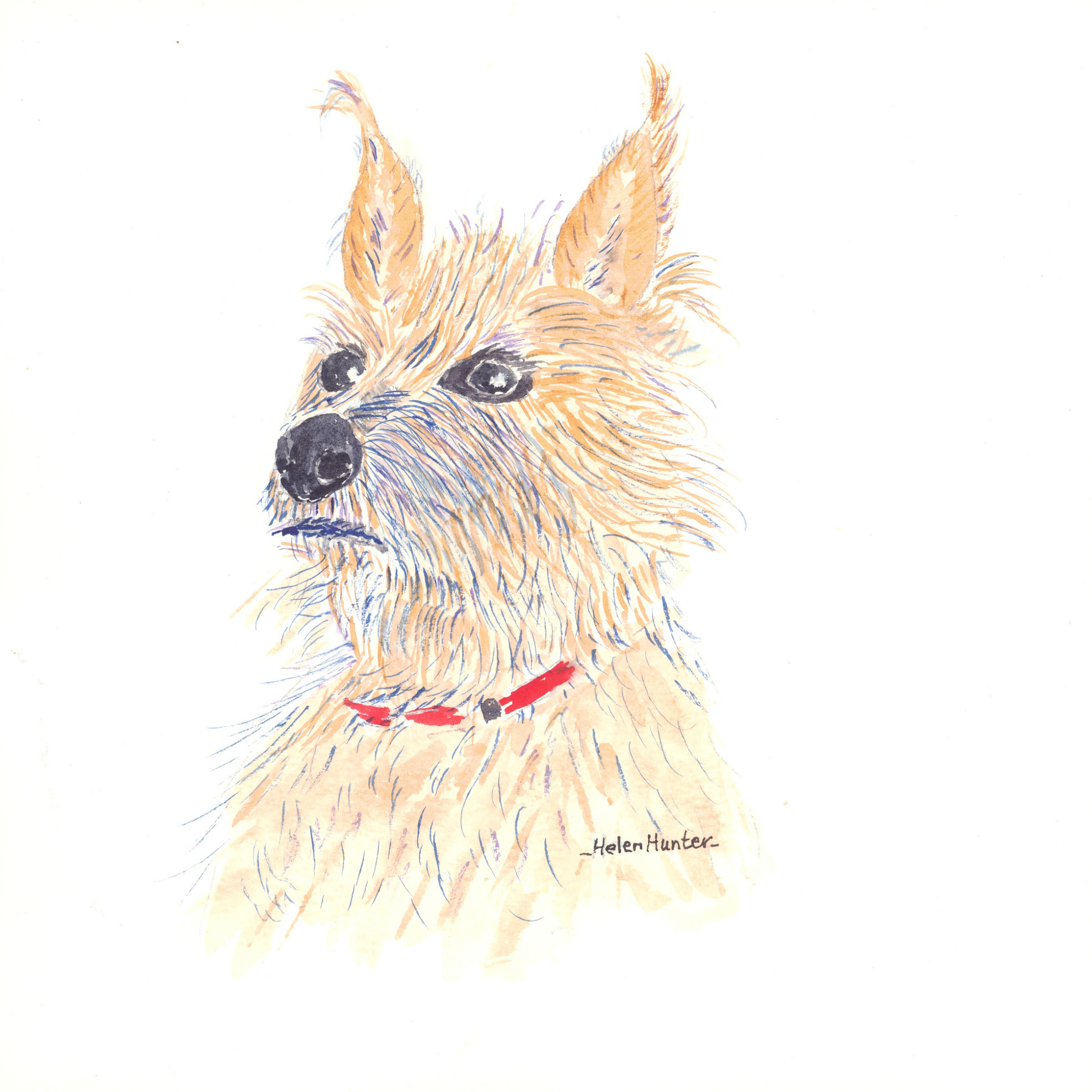 A drawing is of a small yellow dog with a red collar