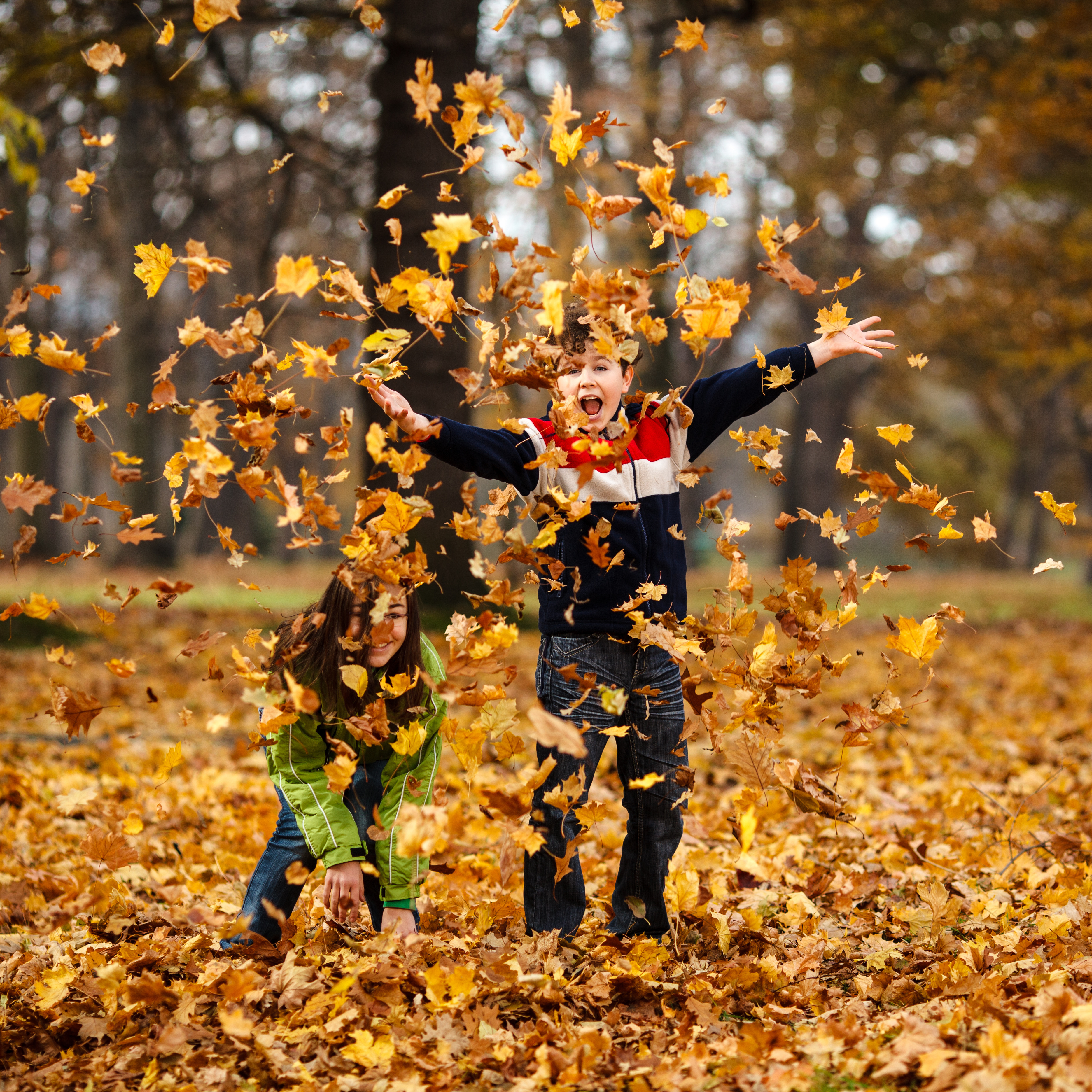 kids playing in a pile of fall leaves